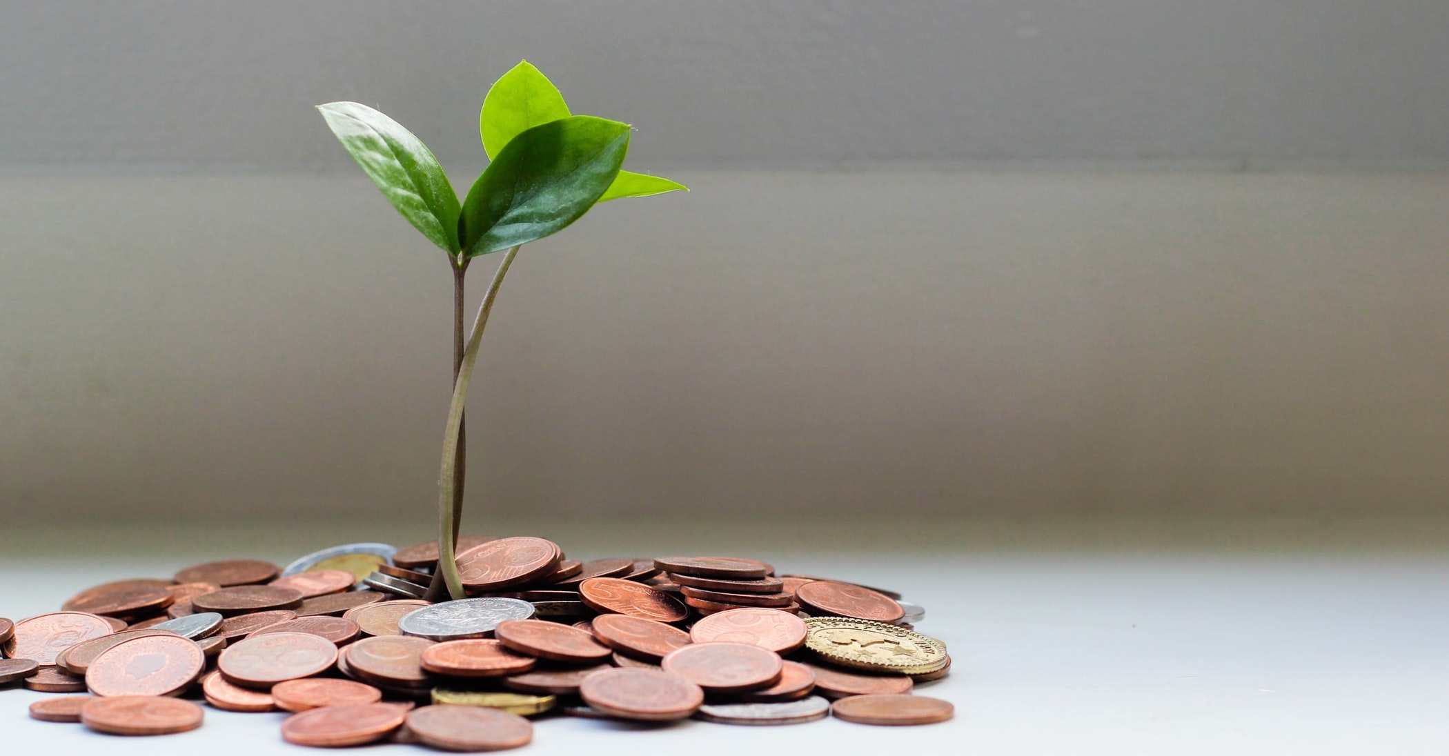 FemaleFounderSpace_MoneyMindset