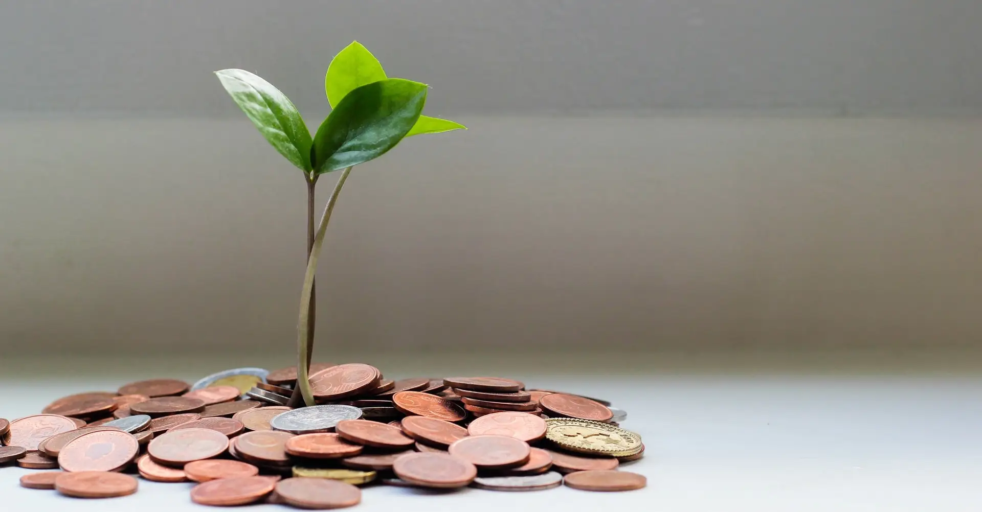 FemaleFounderSpace_MoneyMindset