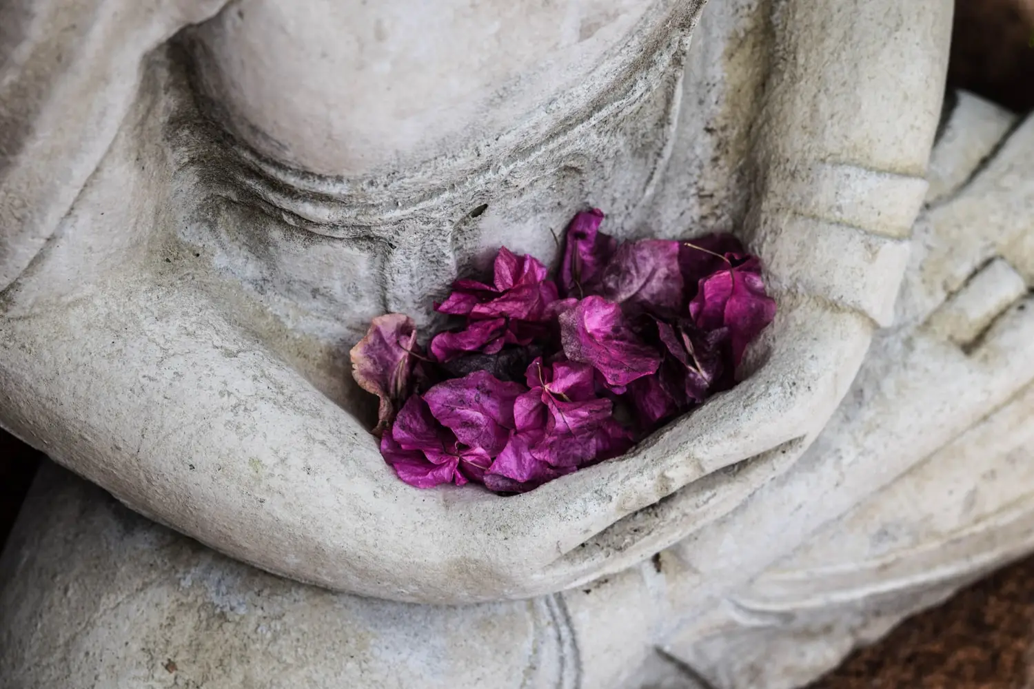 Female Founder - Share how you build your growth mindset